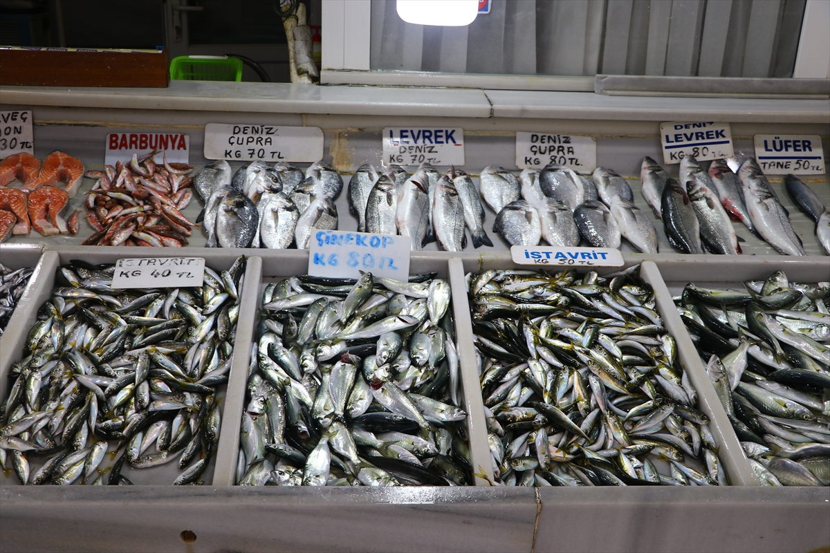 Tekirdağ'da tezgahların gözdesi 'çinekop' oldu