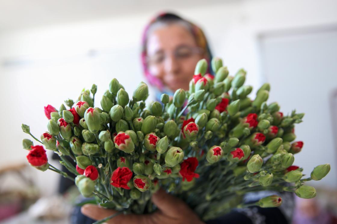 Türkiye'den 83 ülkeye 125 milyon dolarlık çiçek ihracatı