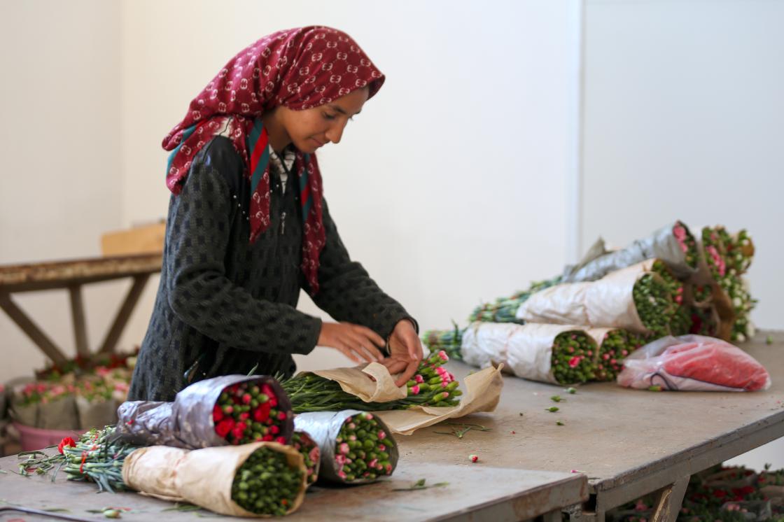 Türkiye'den 83 ülkeye 125 milyon dolarlık çiçek ihracatı