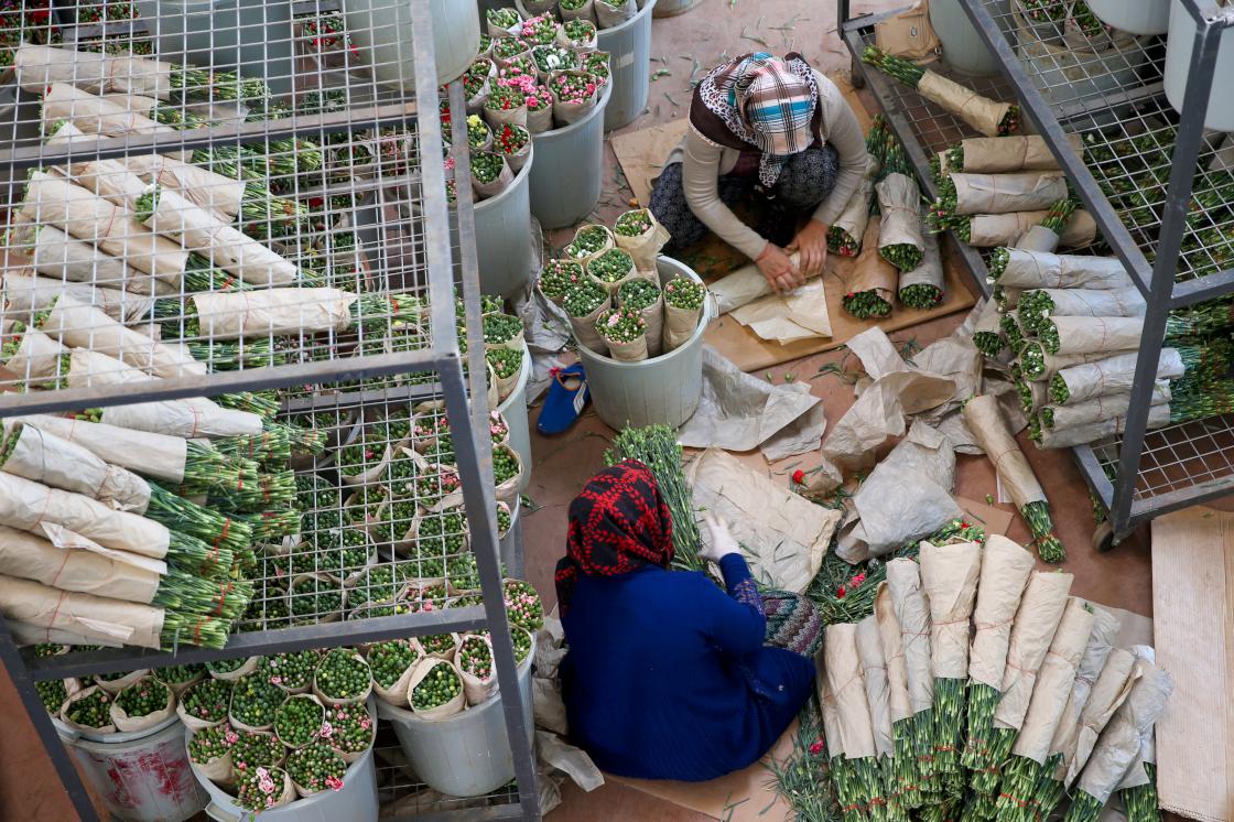 Türkiye'den 83 ülkeye 125 milyon dolarlık çiçek ihracatı