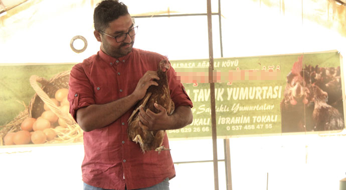 Tavuklar Müslüm Babayla kavgayı bıraktı, yumurtlamaya başladı