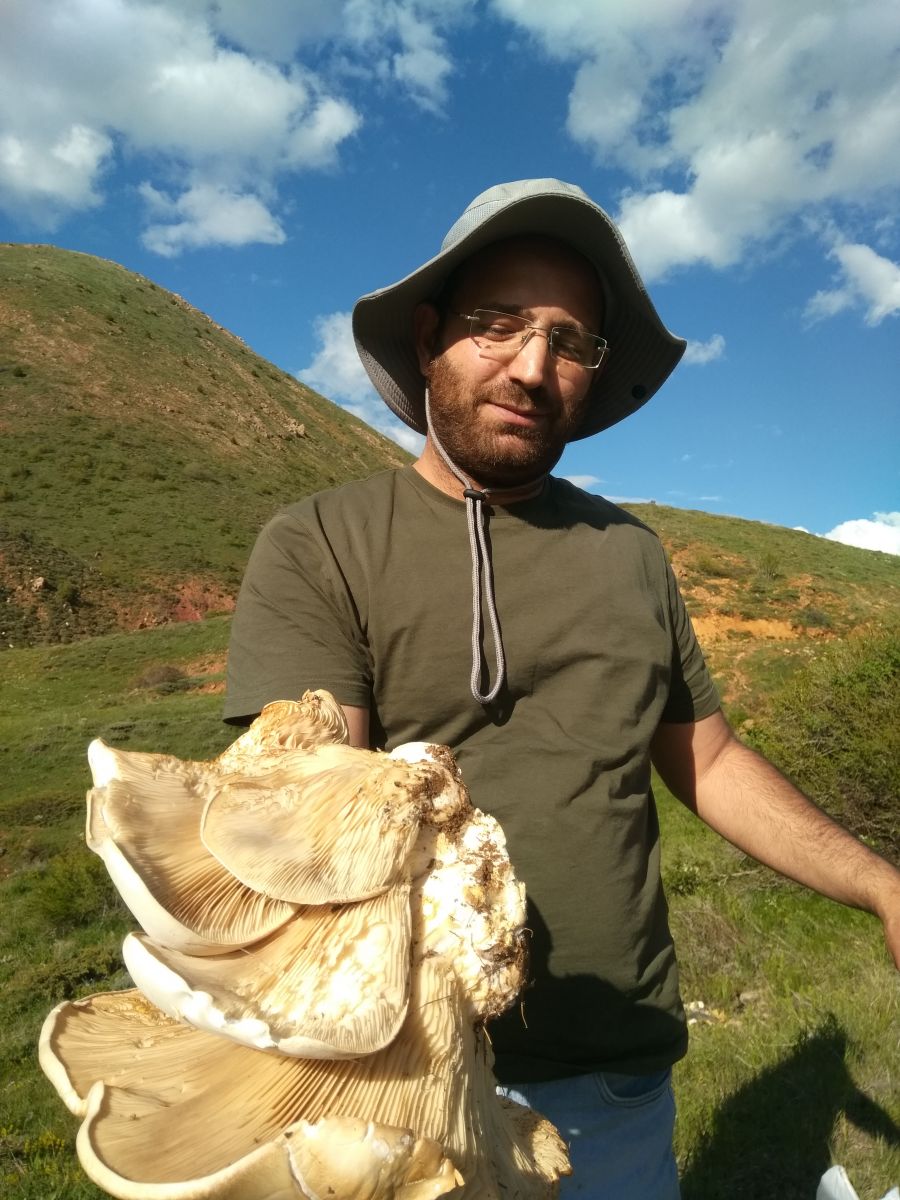 Dev mantar görenleri şaşkına çevirdi