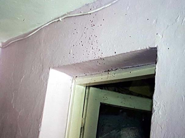 'Burcu’nun kanı hala tavanda'