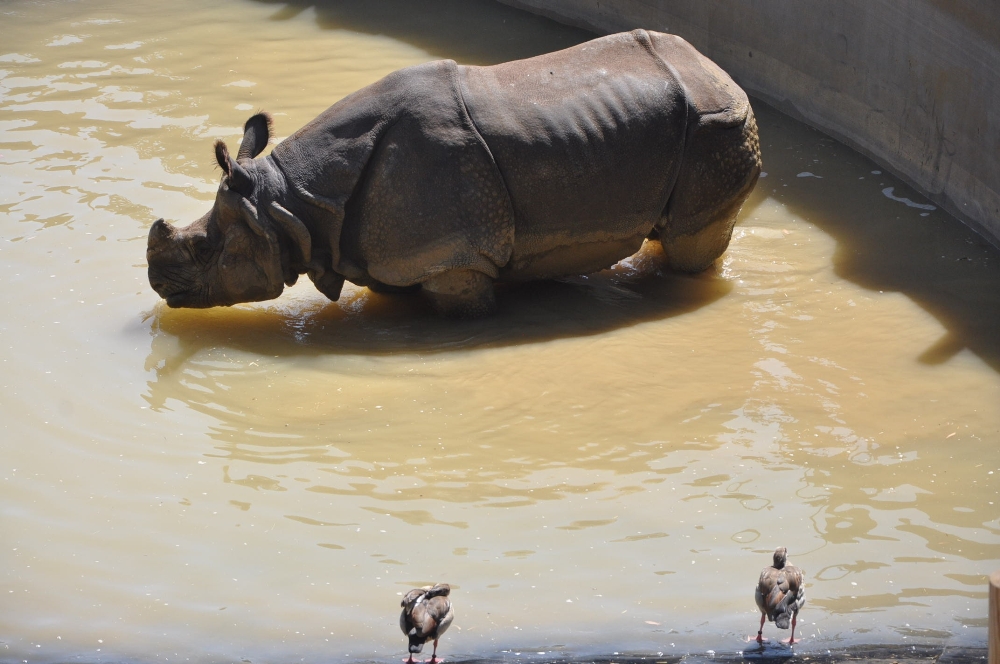 İşte Türkiye’nin ilk zırhlı ’gergedanı’