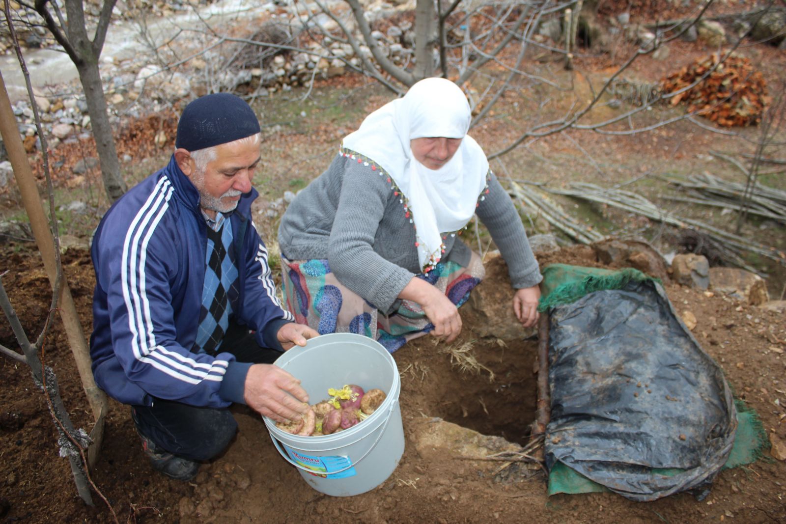 Sason’da şalgam toprak altında çıkarılmaya başlandı