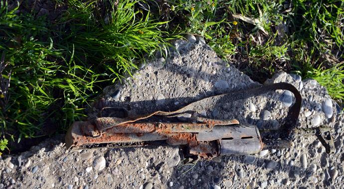 Nehre olta attı, şoke oldu...