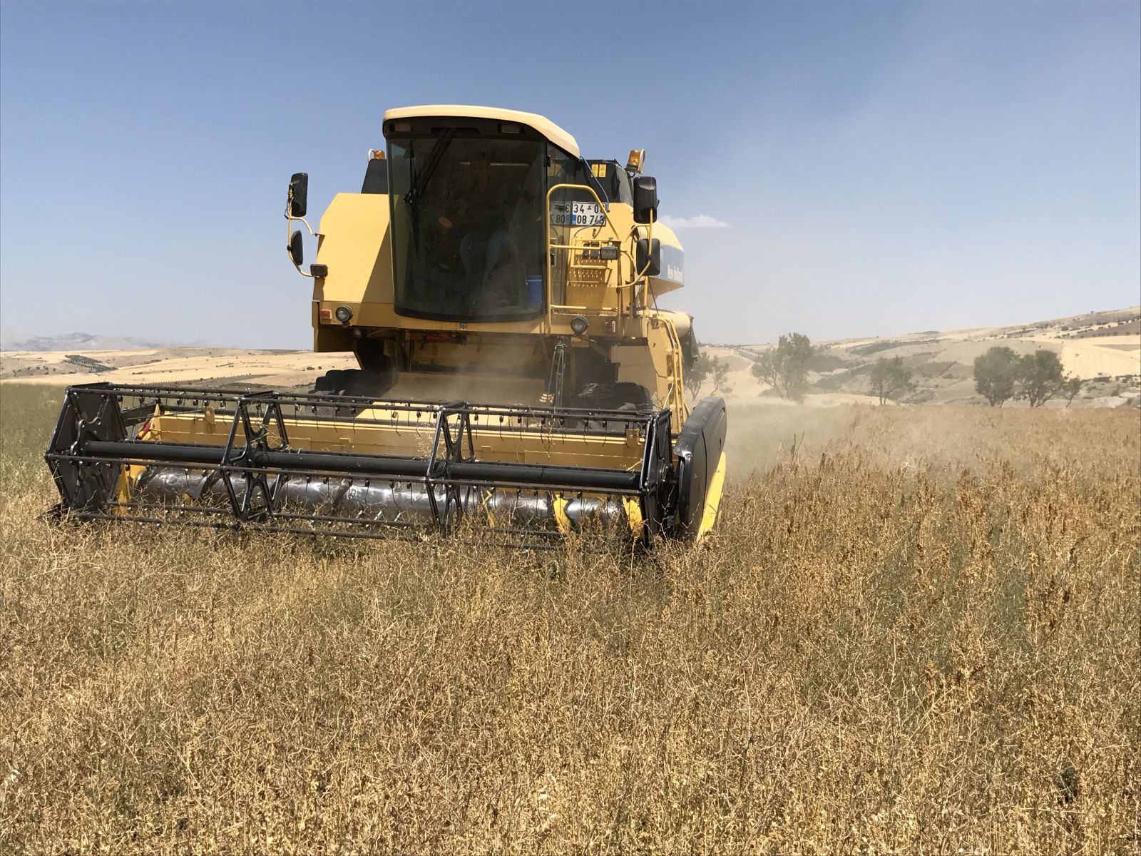 Adıyaman ilk kinoa hasadını yaptı
