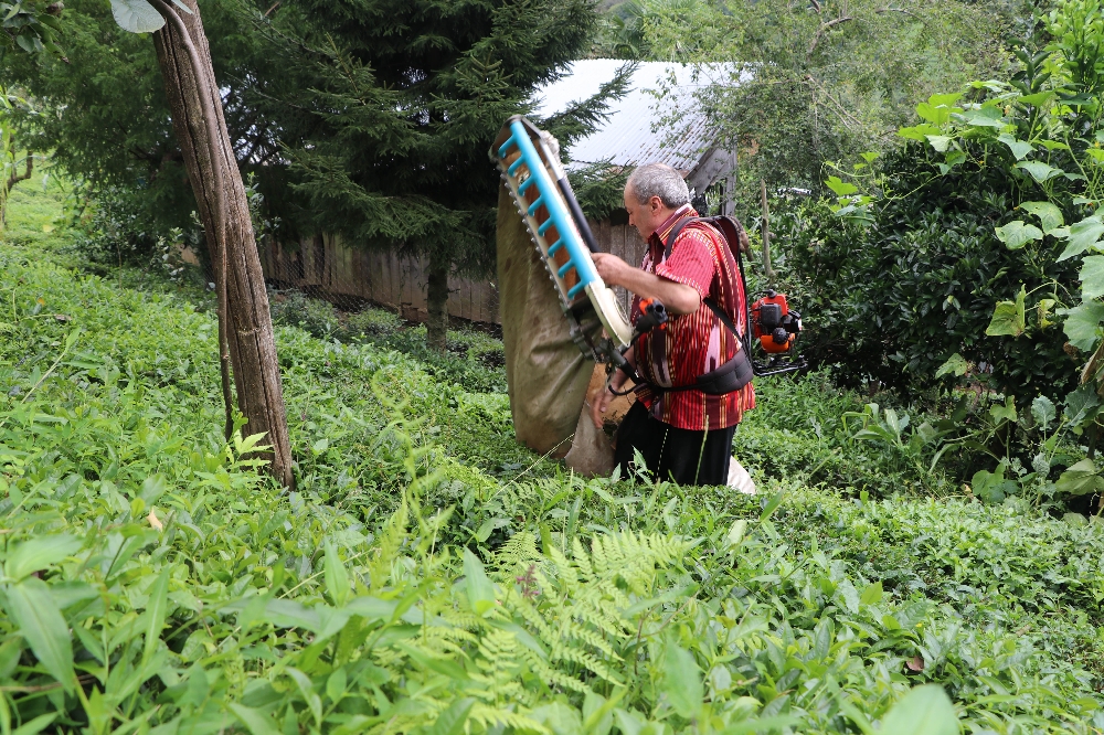Geliştirdiği bu makineyle günde 1 ton çay topluyor