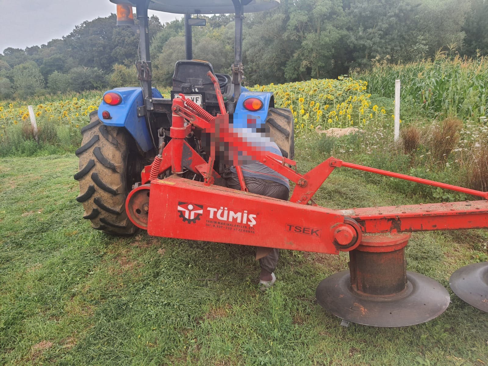 Günün en acı karesi Kocaeli'den geldi!