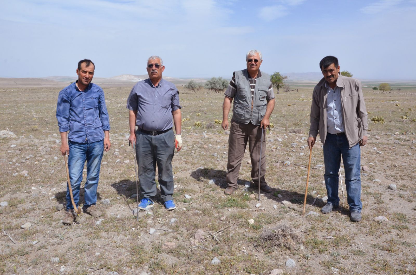 Köylüler dolaman mantarı için arazilere akın etti!