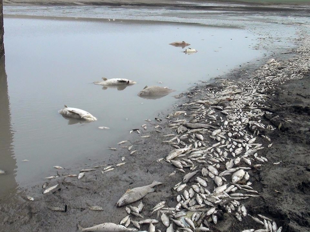 Edirne’de korkutan görüntü