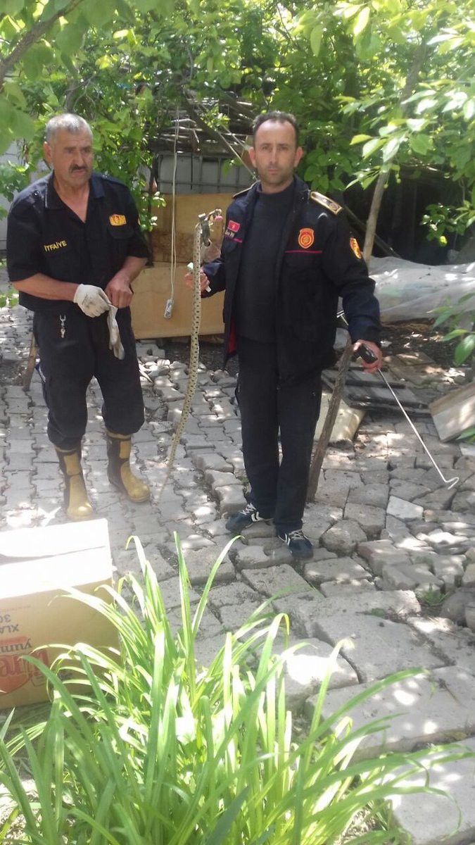 Evlerine yılan giren aileyi itfaiye kurtardı