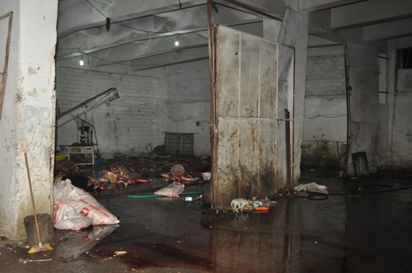 İzmir'de at eti operasyonu!