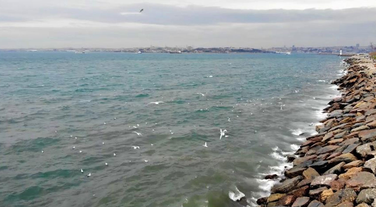 İSKİ arıtma tesisinden bırakılan su Moda Sahili’nin rengini değiştirdi