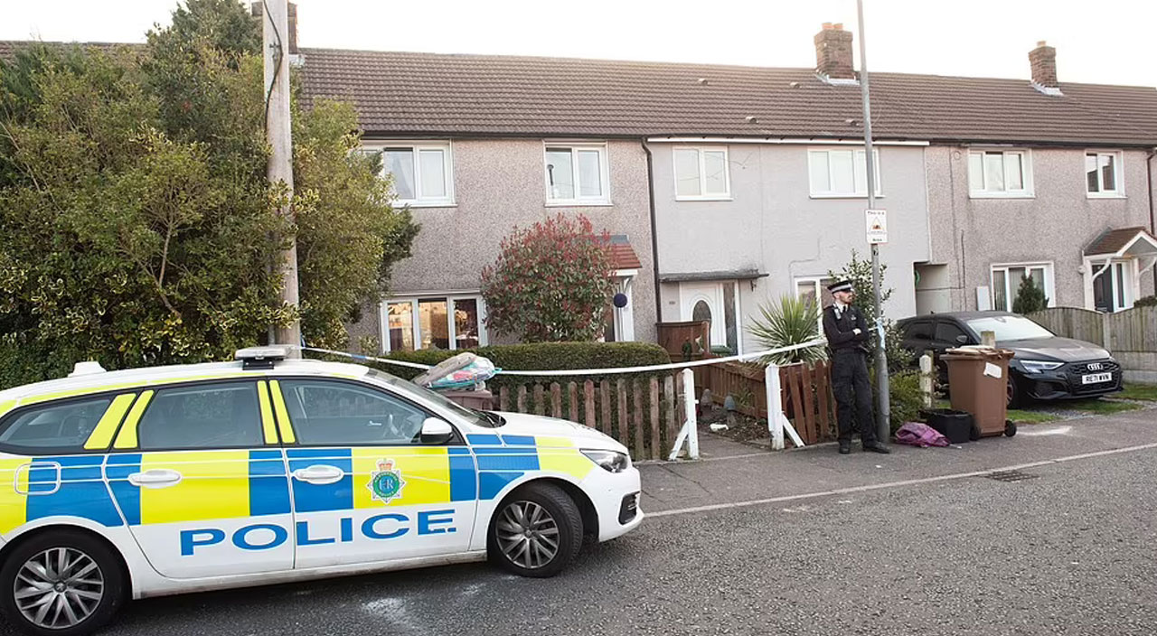 İngiltere'de bir pitbull 17 aylık bebeği öldürdü