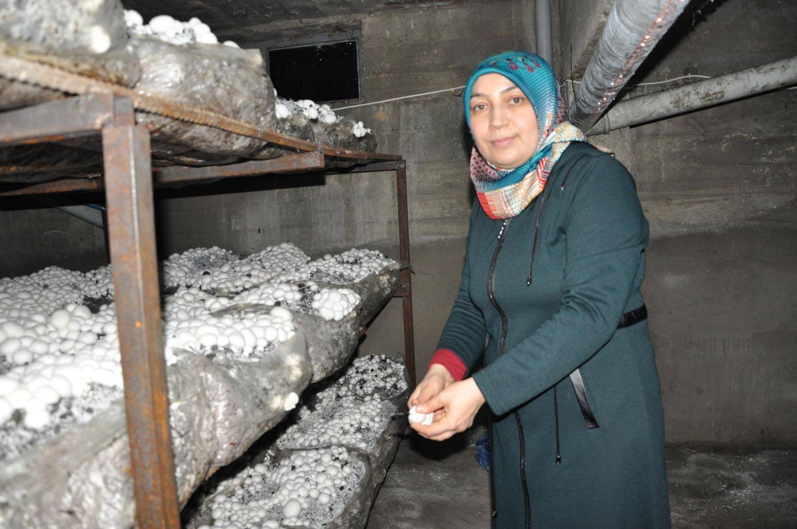 Girişimci ev hanımının yüzünü kültür mantarı güldürdü