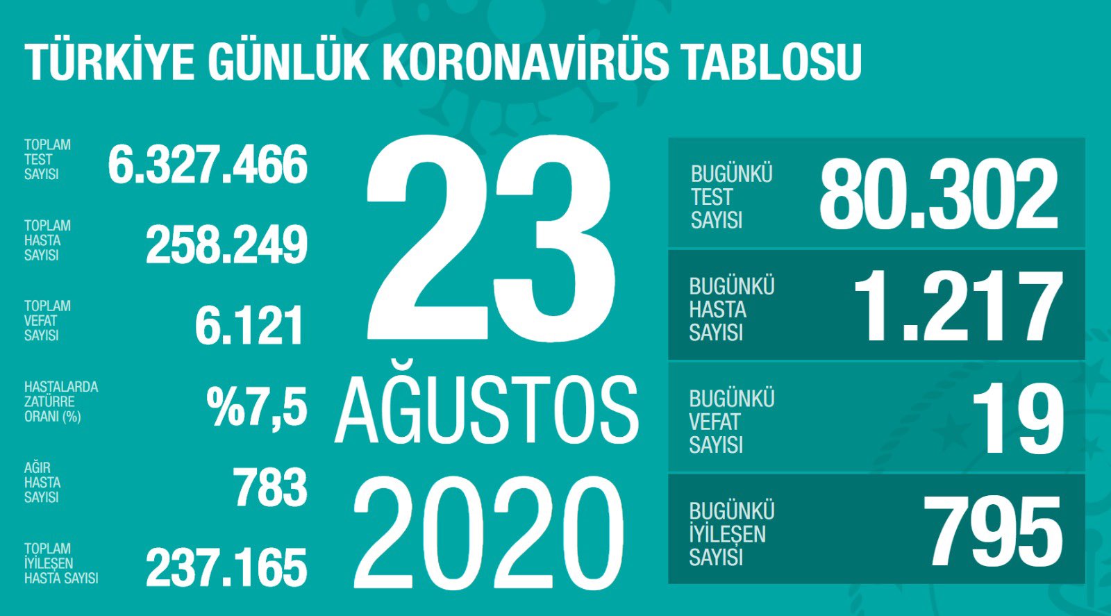 Türkiye'de Covid-19'dan iyileşen hasta sayısı 237 bin 165 oldu