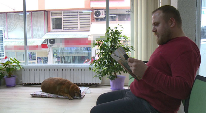 Sokak köpeği noter huzurunda hayatını yaşıyor