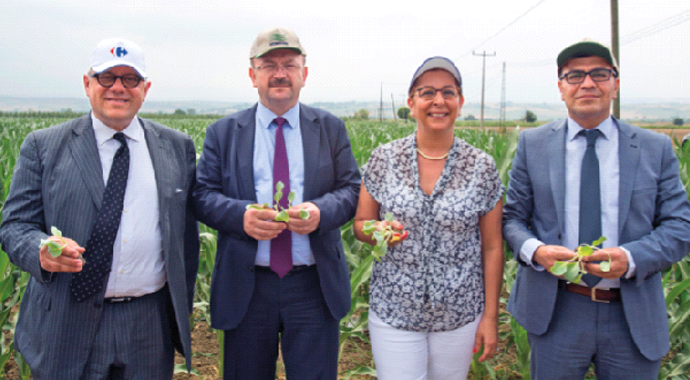 Meyve ve sebze yerli tohumla ucuzlayacak