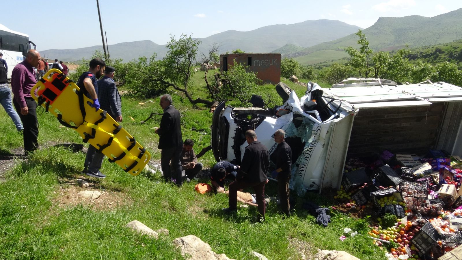 Kaza yapan araç 5 ağacı devirdikten sonra durabildi