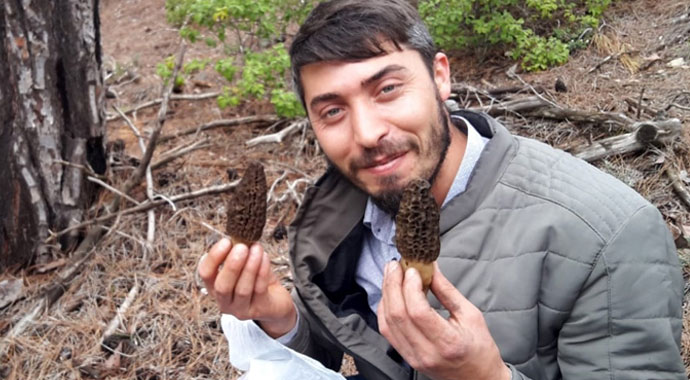 Kuzugöbeğine yoğun ilgi