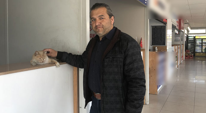 Köpeklerin korkulu rüyası 'Sarı'