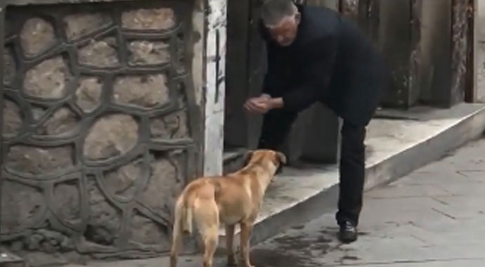 Taksici susayan köpeğe elleriyle su içirdi