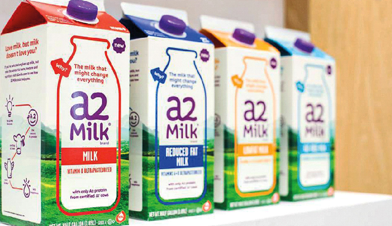 Sütteki gizli tehlike: Melez inek hasta ediyor