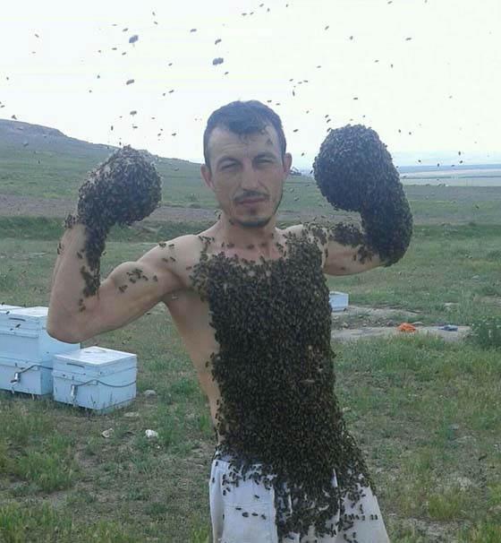 Arı adam görenleri şaşırtıyor