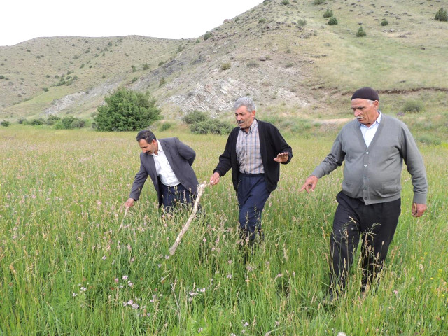 Üç metrelik engerek yılanları vatandaşın korkulu rüyası oldu