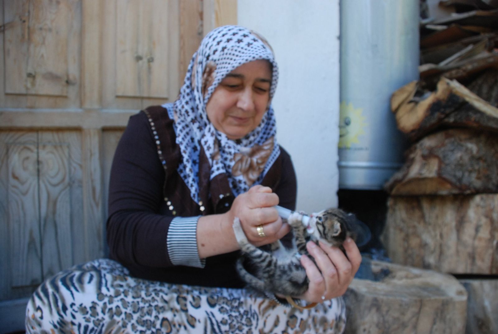 Annesiz kalan yavru kedileri şırınga ile besliyor