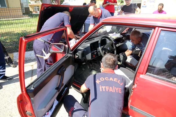 Arabasının vites kutusundan yılan çıktı!