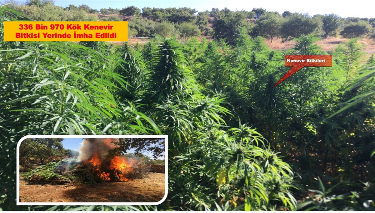 Diyarbakır'da PKK'ya ağır darbe