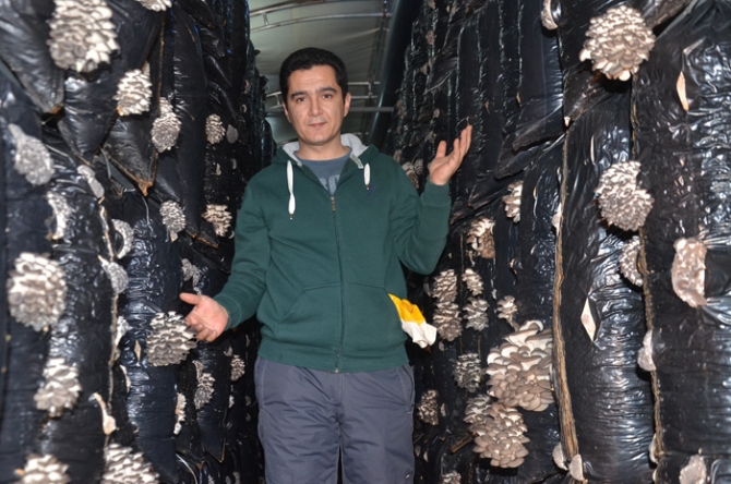 Kırmızı ete rakip çıktı, üstelik 10 lira!