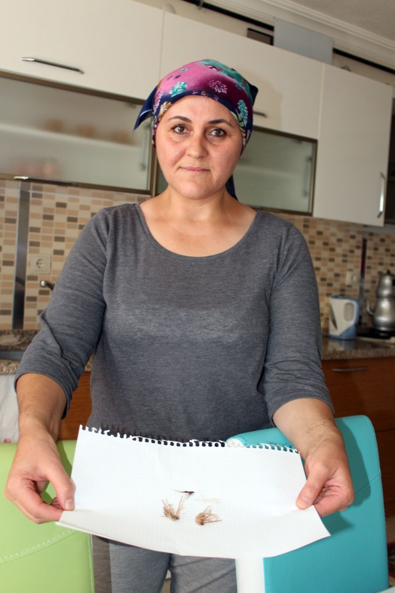 Niğdelilerin kabusu oldu, insanlar balkona bile çıkamıyor!