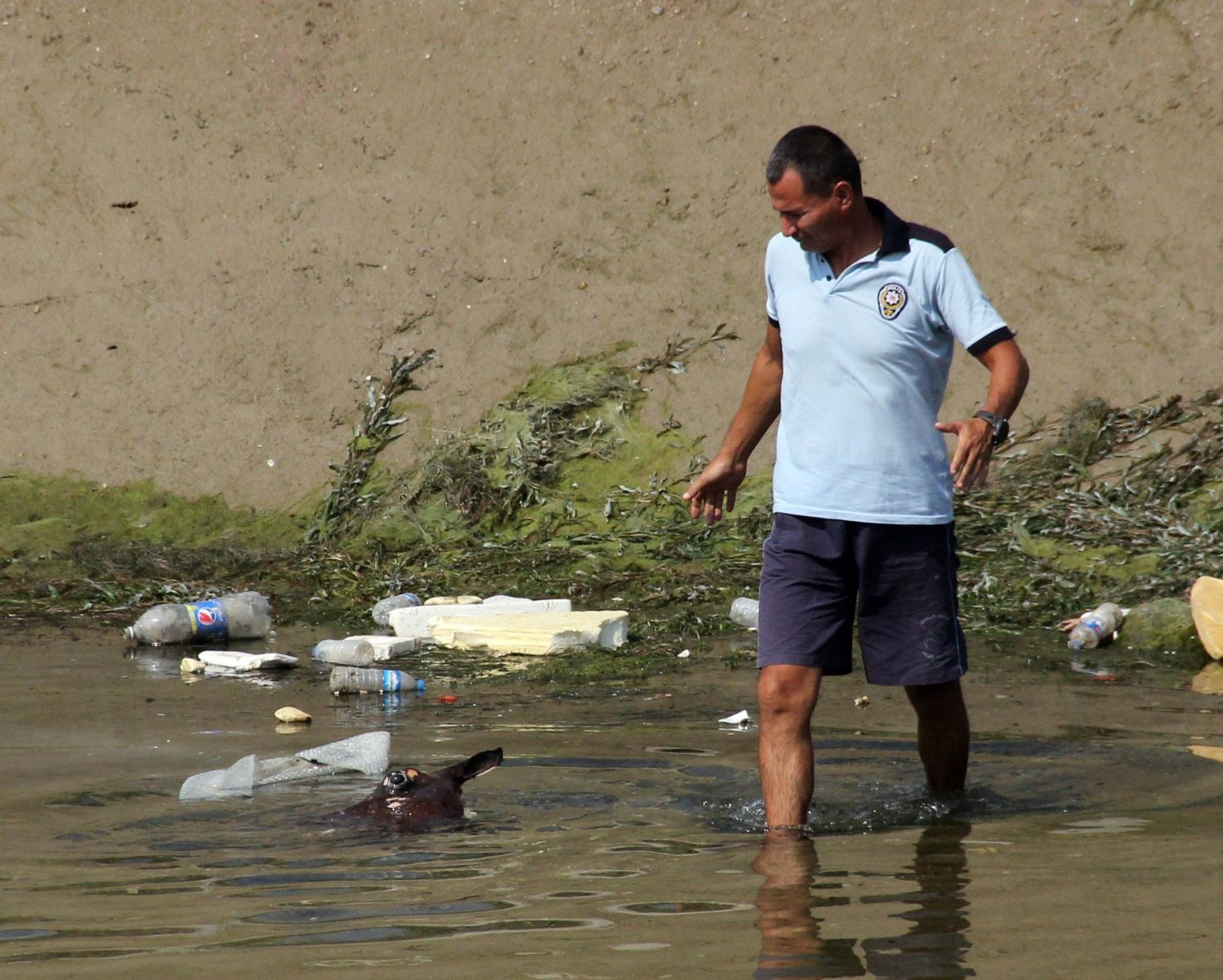Kayıp çocuğu aradıkları sulama kanalında kesik at parçaları buldular