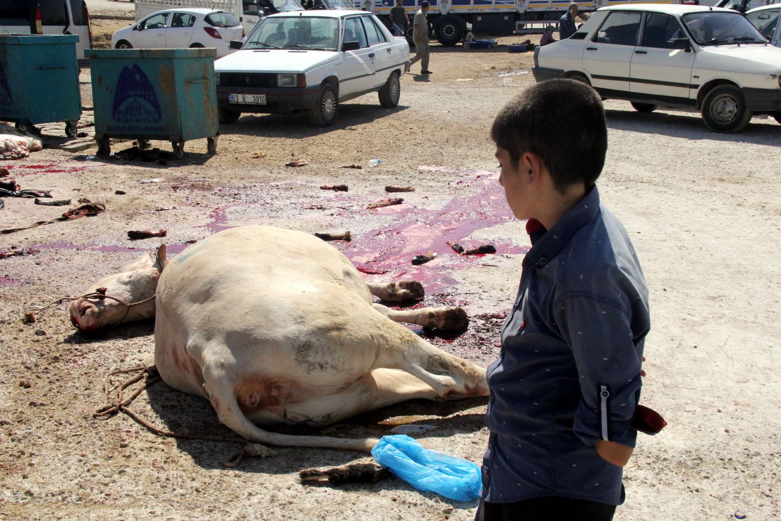 Bayram namazını kılan İstanbullular kurban kesim merkezlerine akın etti