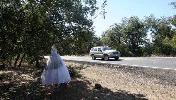 Edirne'de şaşırtan manzara!