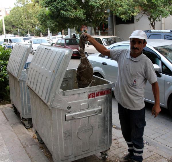 İçinde bebek cesedi olduğu sanılan poşetten kedi çıktı