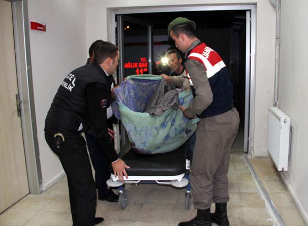 Ayı saldırısına uğrayan kişi öldü