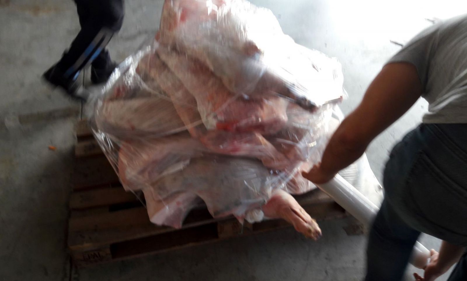 Antalya'da durdurulan lüks minibüsün içinden 420 kilo domuz eti çıktı