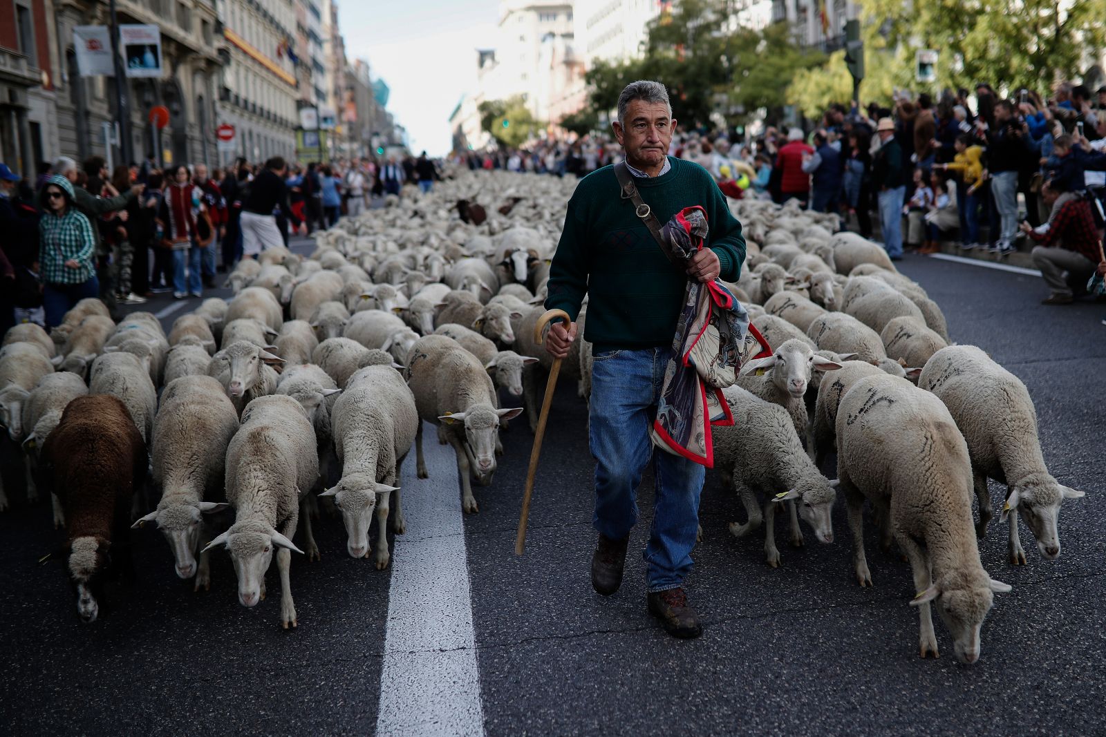 Madrid'de koyunlar şehre indi