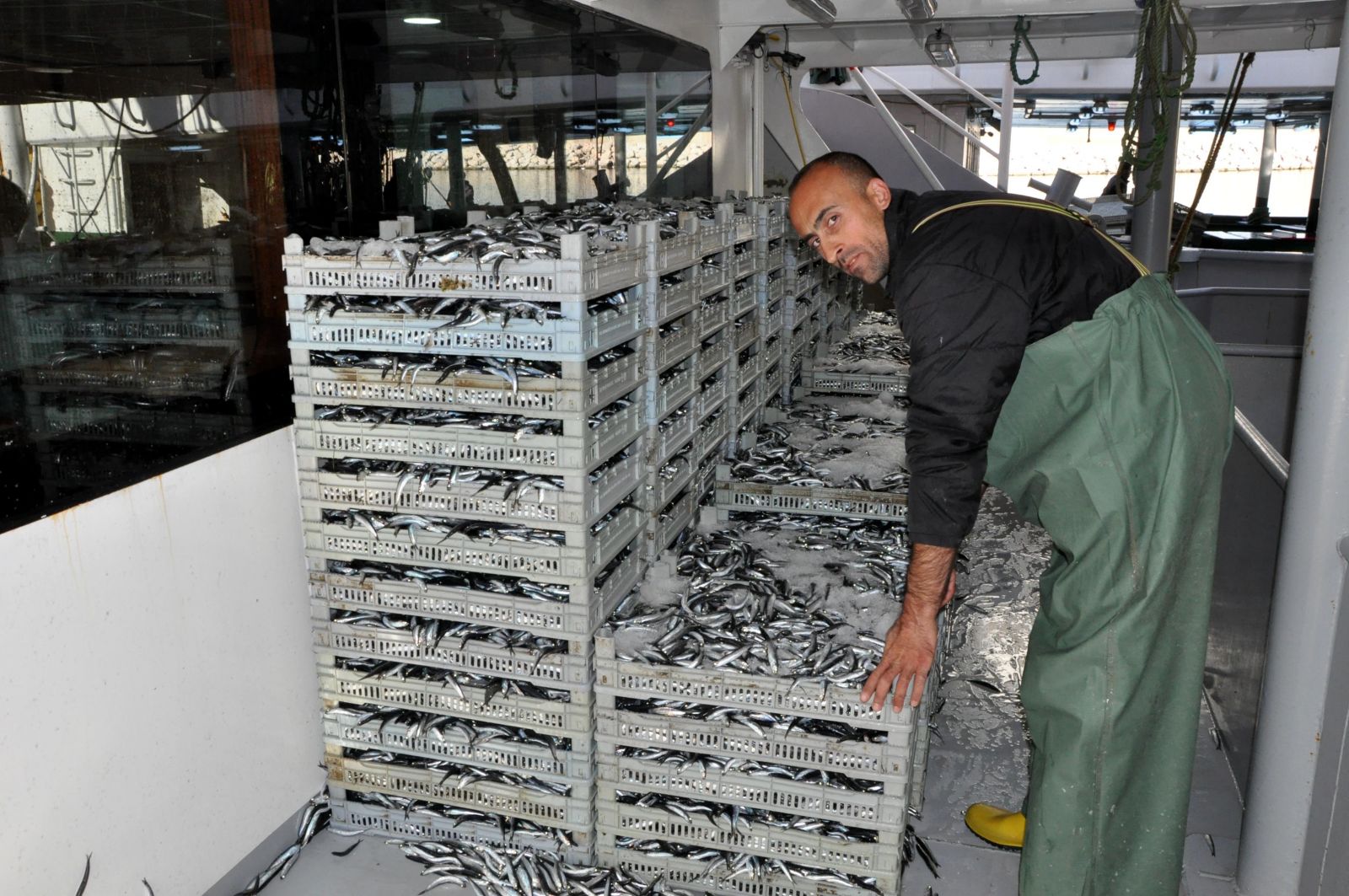 Amasra açıklarında avlanan balıkçılar, 300 ton hamsi ile döndü