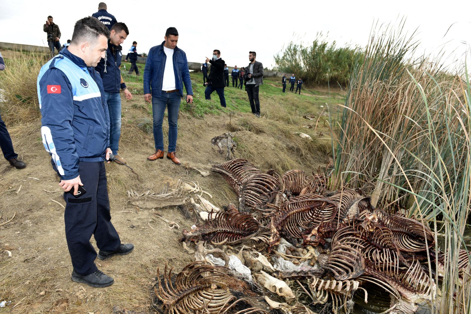 Adana'da vatandaşa at eti yedirmeye devam ediyorlar
