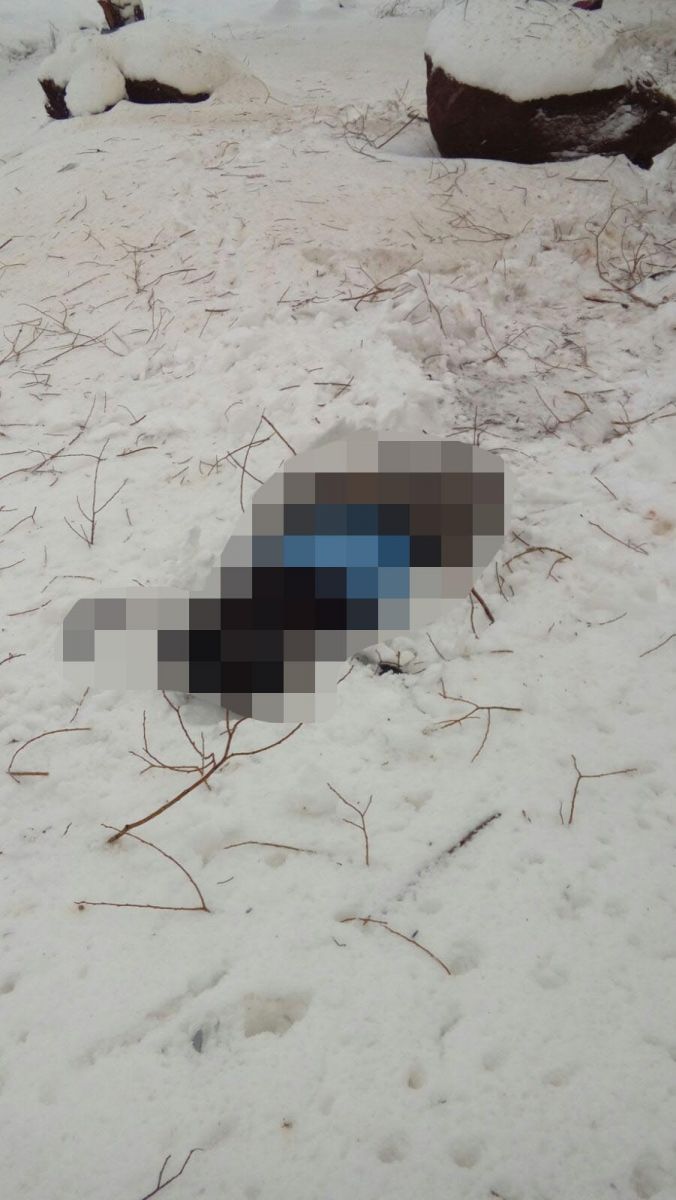 Muş'ta yolcu otobüsü dereye uçtu: 6 ölü, 29 yaralı