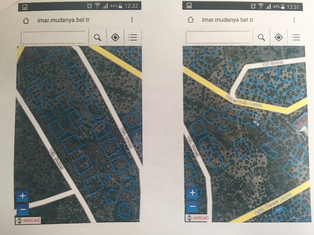 CHP'li belediye zeytinlikleri arsaya dönüştürdü