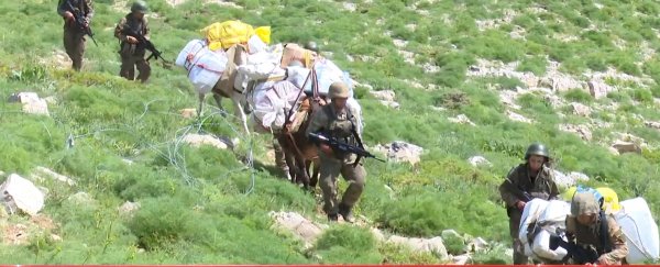 Son dakika! PKK'nın Avaşin Basyan kampı yok edildi