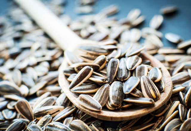 Yaşlanmayı geciktiren doğal besinler