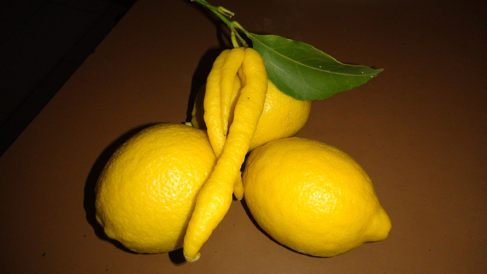 Biber görünümlü limon görenleri şaşırttı