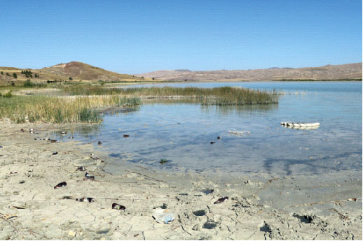 Tabiata en büyük zararı insanlar veriyor